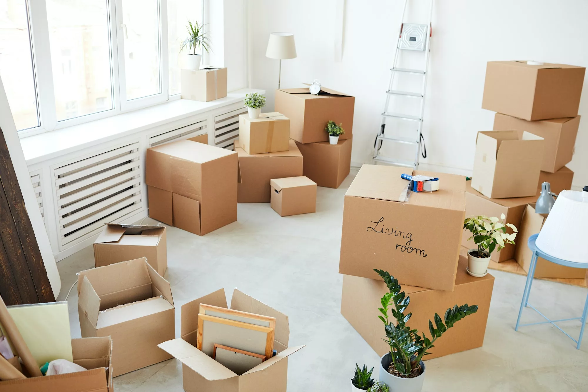 American House Cleaning Service Residential Cleaning, House Cleaning, Deep Cleaning, Move Out - In , Office Cleaning, Commercial Cleaning Jefferson, Black Forest, Manitou Springs, Cimarron Hills, Fountain, Fort Carson, Rock Creek Park, Green Mountain Falls, Stratmoor